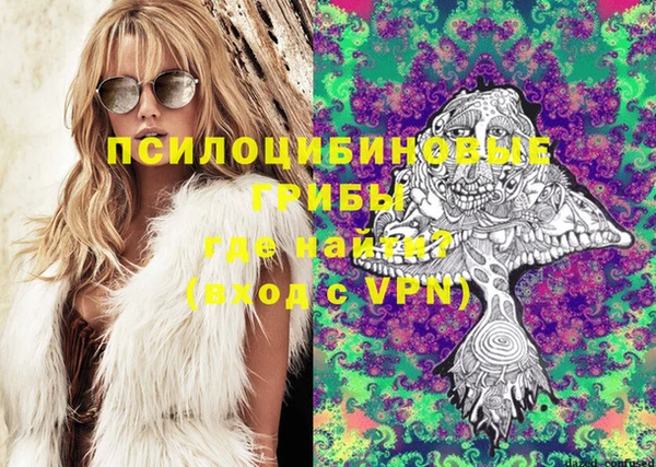дурь Арсеньев