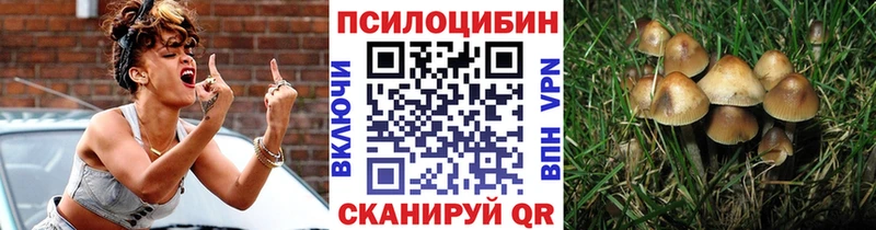 купить  цена  Прохладный  KRAKEN как зайти  дарк нет как зайти  Псилоцибиновые грибы Psilocybine cubensis 